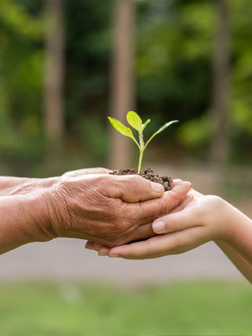 aboutus-social-impact​